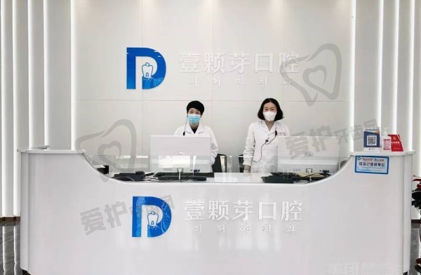 烟台壹颗芽和洛神牙哪个好