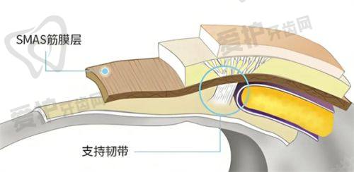 项目本身的特色优势
