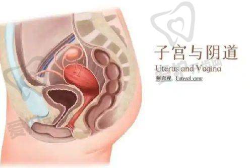 王旭明医生鼻修复怎么样