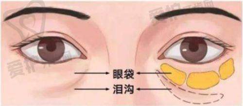 王孝顺医生擅长项目