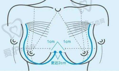 沈绍勇医生怎么预约挂号