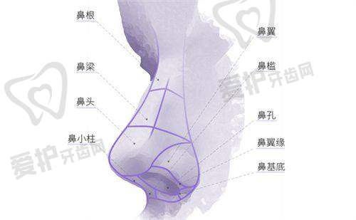 王旭明医生鼻子做的好吗