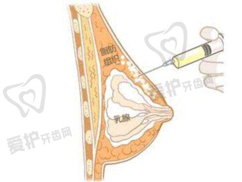 展望医生怎么预约挂号