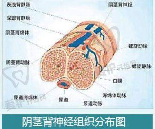 医院简介