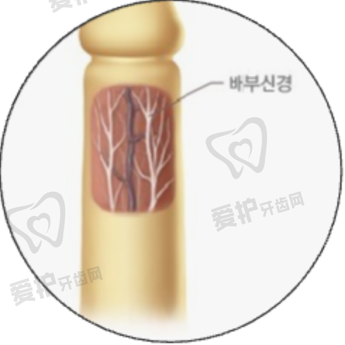 相关医生黄鲜介绍
