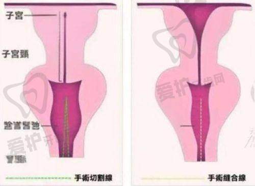 陈猛医生怎么预约挂号