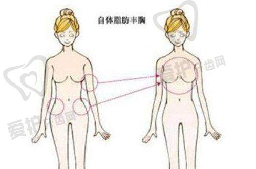 深圳倍生医疗美容门诊部收费价格表