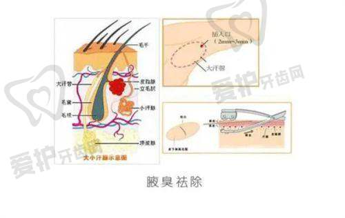 深圳星荟丽格医疗美容诊所徐斌医生执业信息
