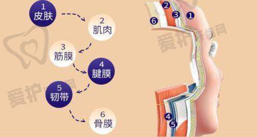 深圳艺星医疗美容医院美容注射副院长 - 杨芳