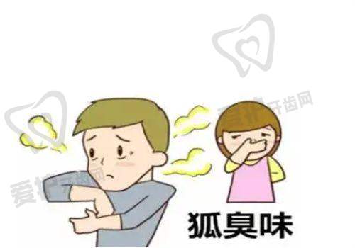伊美尔的服务品质与口碑