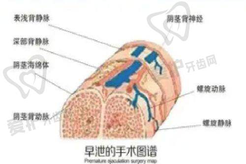 市面上哪些医院的濡白天使针报价比较靠谱呢?