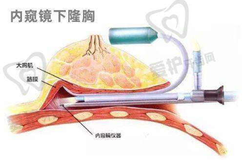 吴继东医生详细介绍