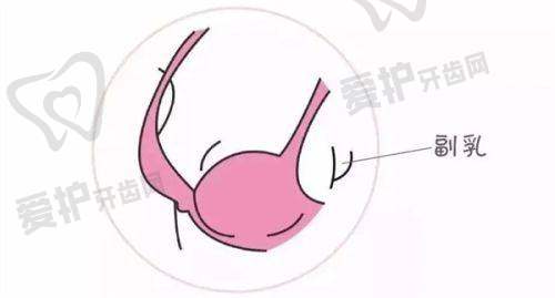 医院的详细地址和具体的乘车路线