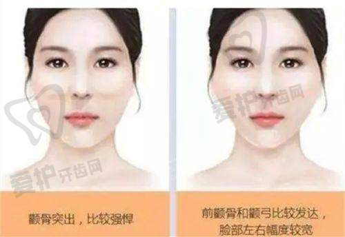 伊美尔的项目与价格