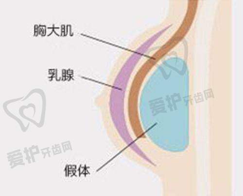 沈阳小树医疗美容诊所(浑南院区)预约方式