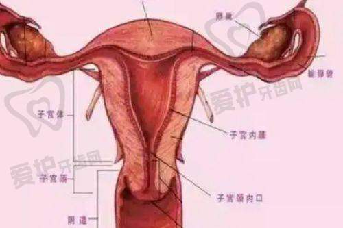 沈阳沈河腾采医疗美容门诊部营业时间