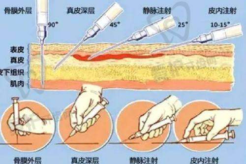 沈阳小树医疗美容诊所(浑南院区)营业时间