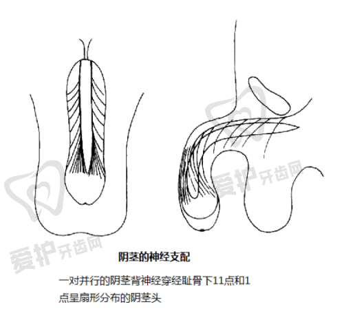 沈阳牛大夫医疗美容诊所收费价格表