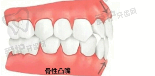扬州杨京口腔的医生介绍