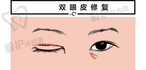 沈阳沈河腾采医疗美容门诊部医生团队介绍