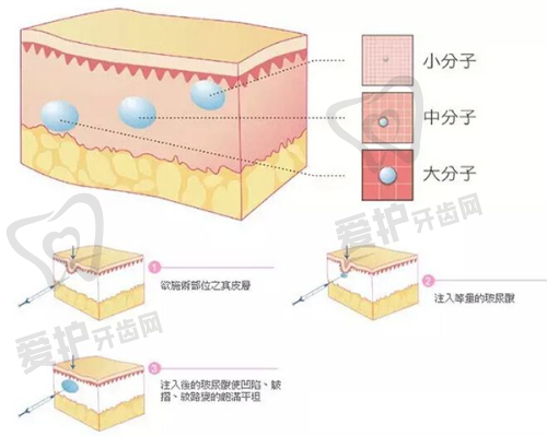 沈阳牛大夫医疗美容诊所预约方式