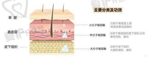 沈阳牛大夫医疗美容诊所基本信息
