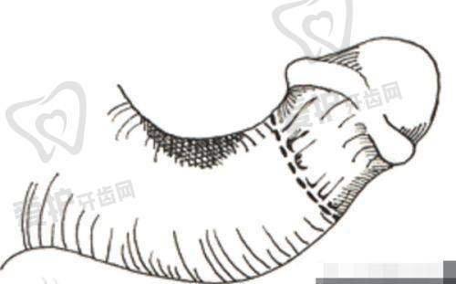 上海华美医疗美容医院简介