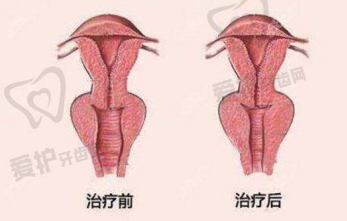相关医生的详细介绍