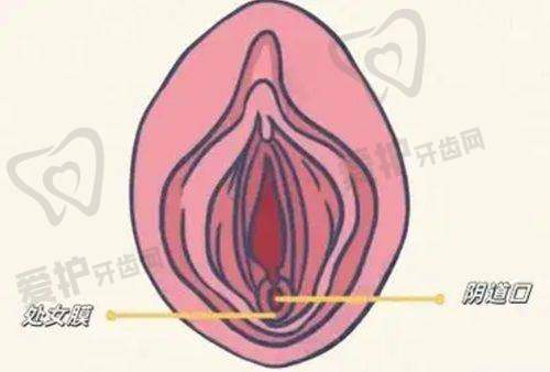 患者的真实口碑评价