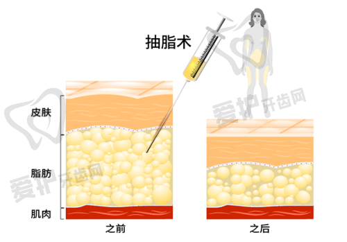 沈阳和平马文整形外科门诊部基本信息