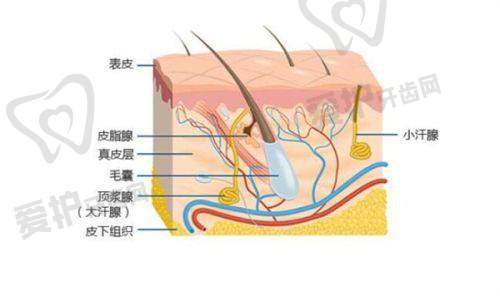 上海时光整形外科医院傲诺拉假体隆胸项目优势