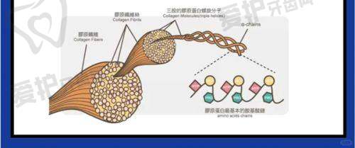 沈阳和平马文整形外科门诊部交通路线