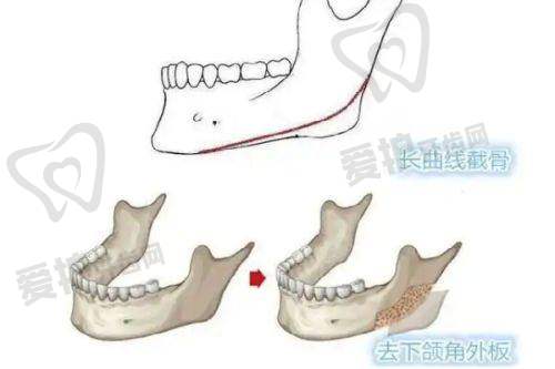 天津美莱医学美容医院医生团队介绍