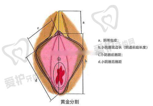 蒋学医生技术特色