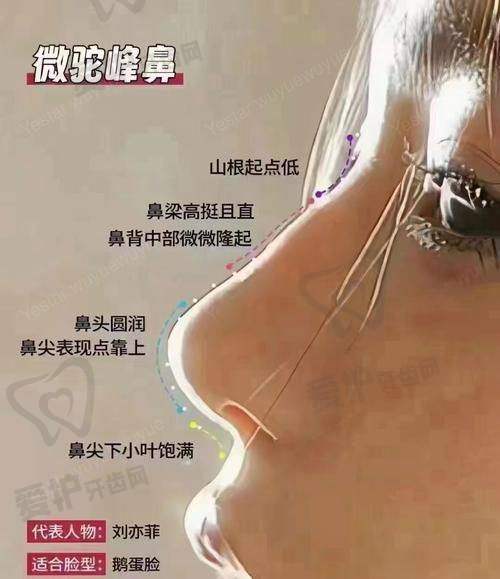 马群医生详细介绍