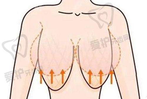 坐诊医生介绍