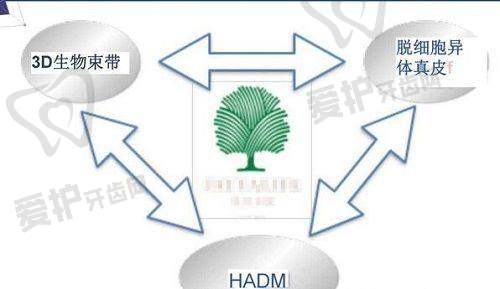 王皓民人中做的怎么样