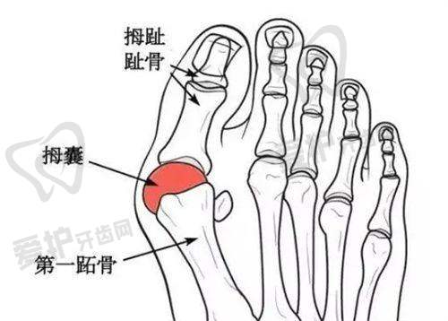 北京禾美嘉医疗美容门诊部基本信息