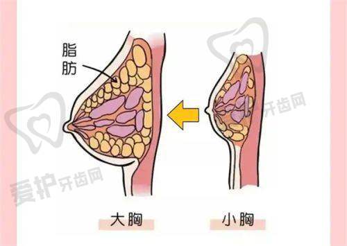 深圳米兰柏羽医疗美容医院地址及乘车路线