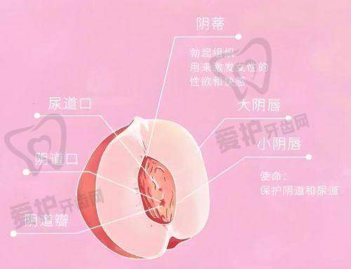 患者对太原军大阴道紧缩术的真实口碑评价