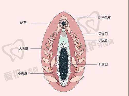 太原军大阴道紧缩术4930元起，专业团队+先进设备+优质护理，效果好恢复快！
