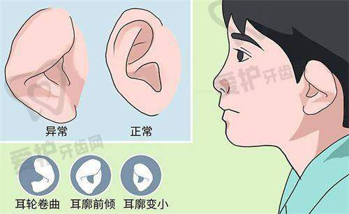 整形外科和皮肤科的手术特点分别是什么？