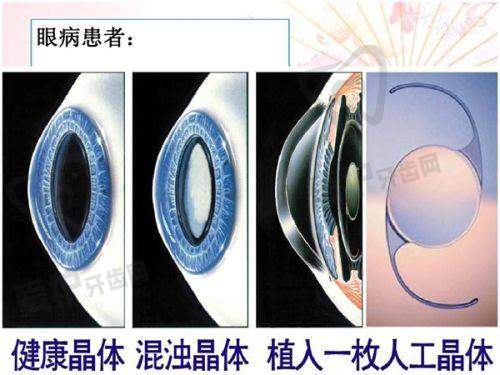整形外科医生和皮肤科医生在医疗资质上有什么不同？