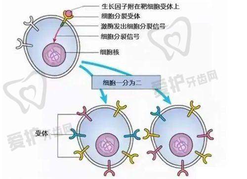四、上海仁爱医院地址电话: