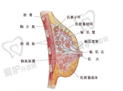 正规性：资质完备，合规经营