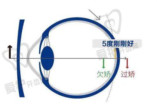 六、杨鸿斌医生怎么预约?