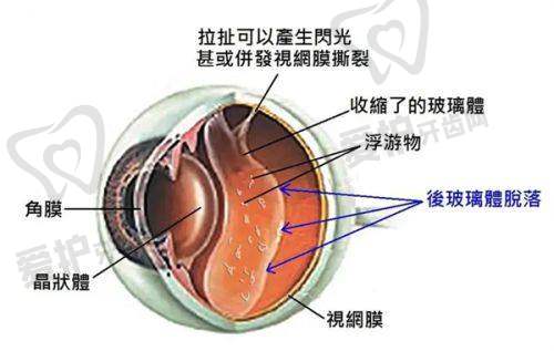 成都佰视佳眼科医院地址