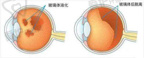 四、杨鸿斌医生口碑怎么样?