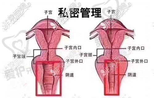 北京嘉禾侯智慧3w元起做女性私密整形，重塑女性魅力开启私密健康新旅程！