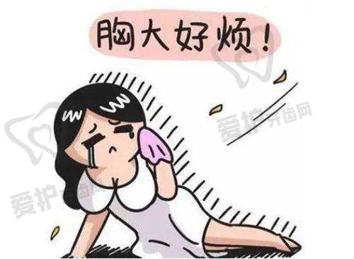 三、上海伯思立（翡立思）基本资料：
